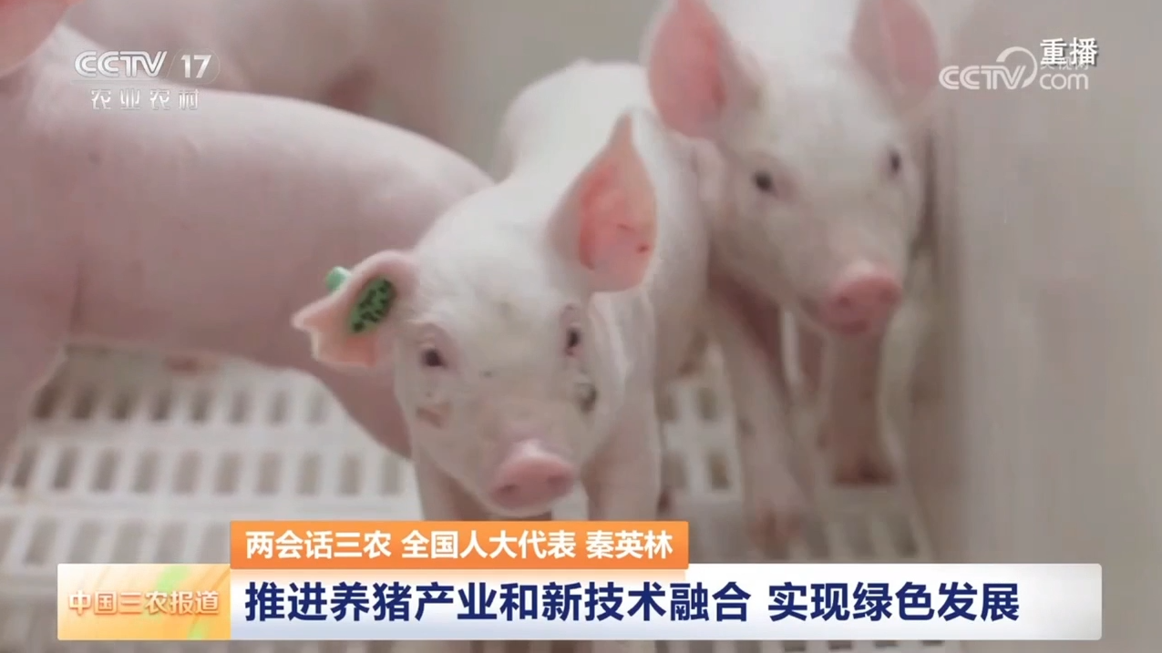 QQ截圖20250312163914.png